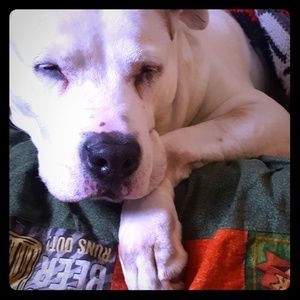 Meet your Posher, Alicia